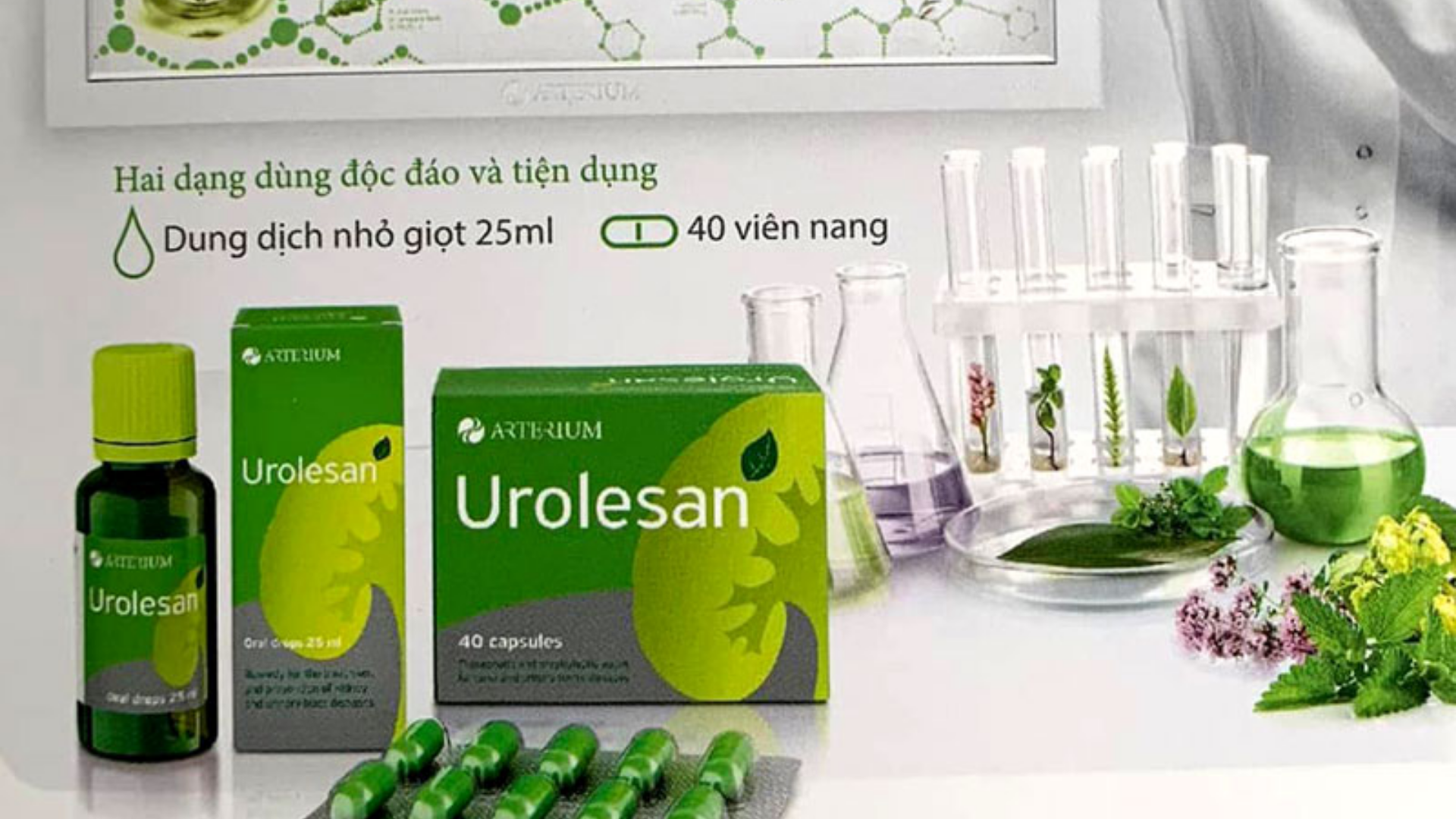 Urolesan hỗ trợ trị sỏi nội khoa hiệu quả