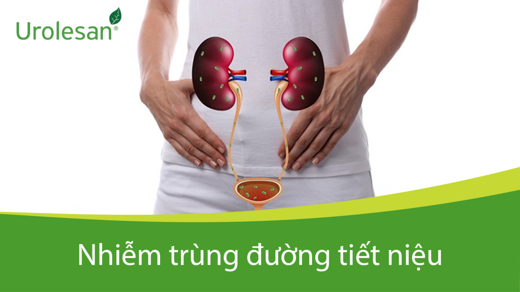 nhiễm trùng tiết niệu