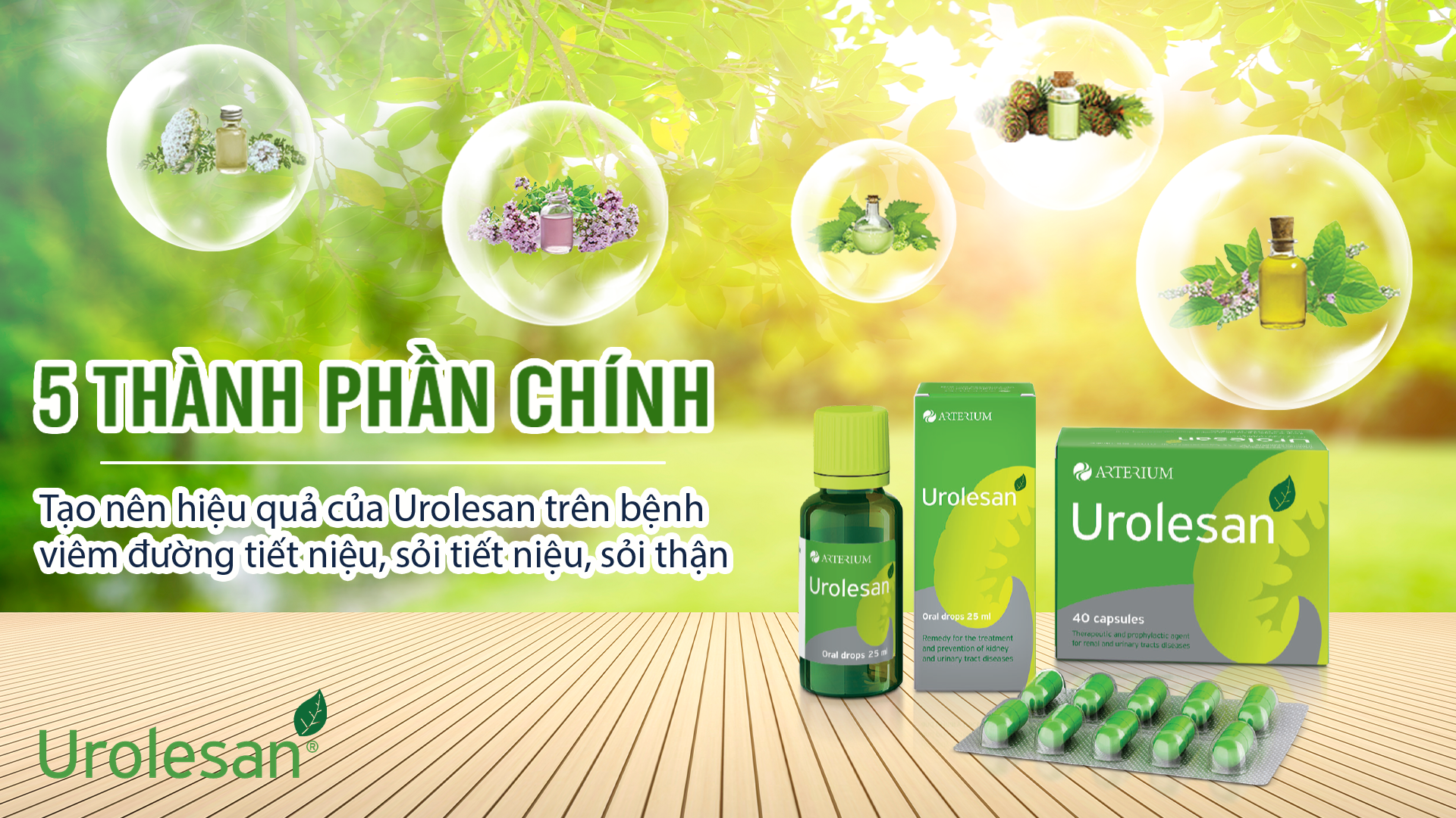 5thanh phan tao nen hieu qua urolesan