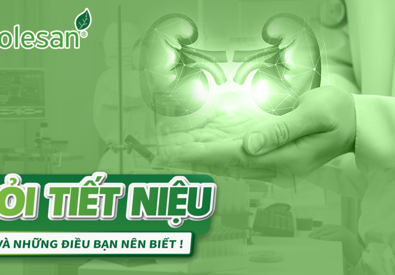 Sỏi tiết niệu và những điều bạn nên biết